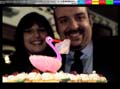 IMG09099r